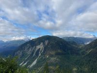 8. Tag – Bärenbeobachtung am Fish Creek – 1. Besuch am Morgen