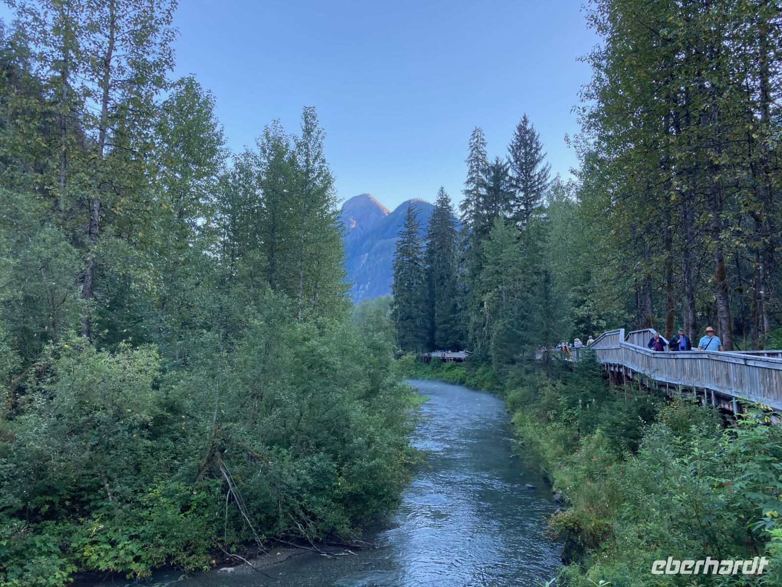 8. Tag – Bärenbeobachtung am Fish Creek – 3. Besuch am Abend