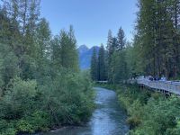 8. Tag – Bärenbeobachtung am Fish Creek – 3. Besuch am Abend