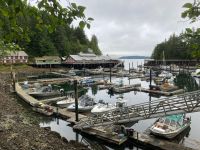 11. Tag – Telegraph Cove