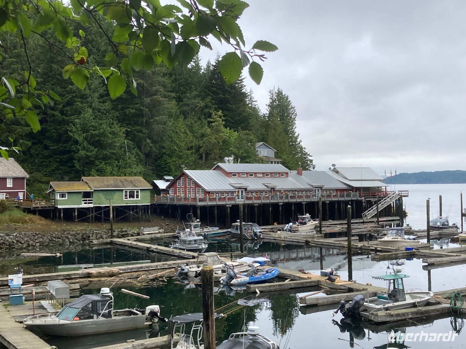 11. Tag – Telegraph Cove