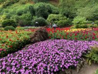12. Tag – Vancouver Island – Butchart Gardens