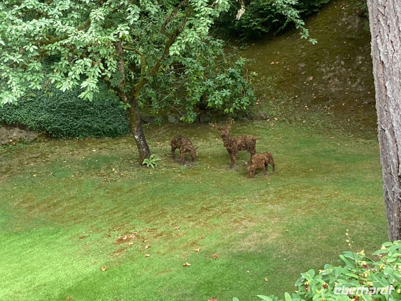 12. Tag – Vancouver Island – Butchart Gardens