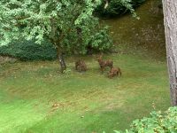 12. Tag – Vancouver Island – Butchart Gardens