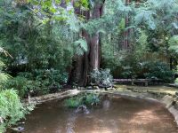 12. Tag – Vancouver Island – Butchart Gardens