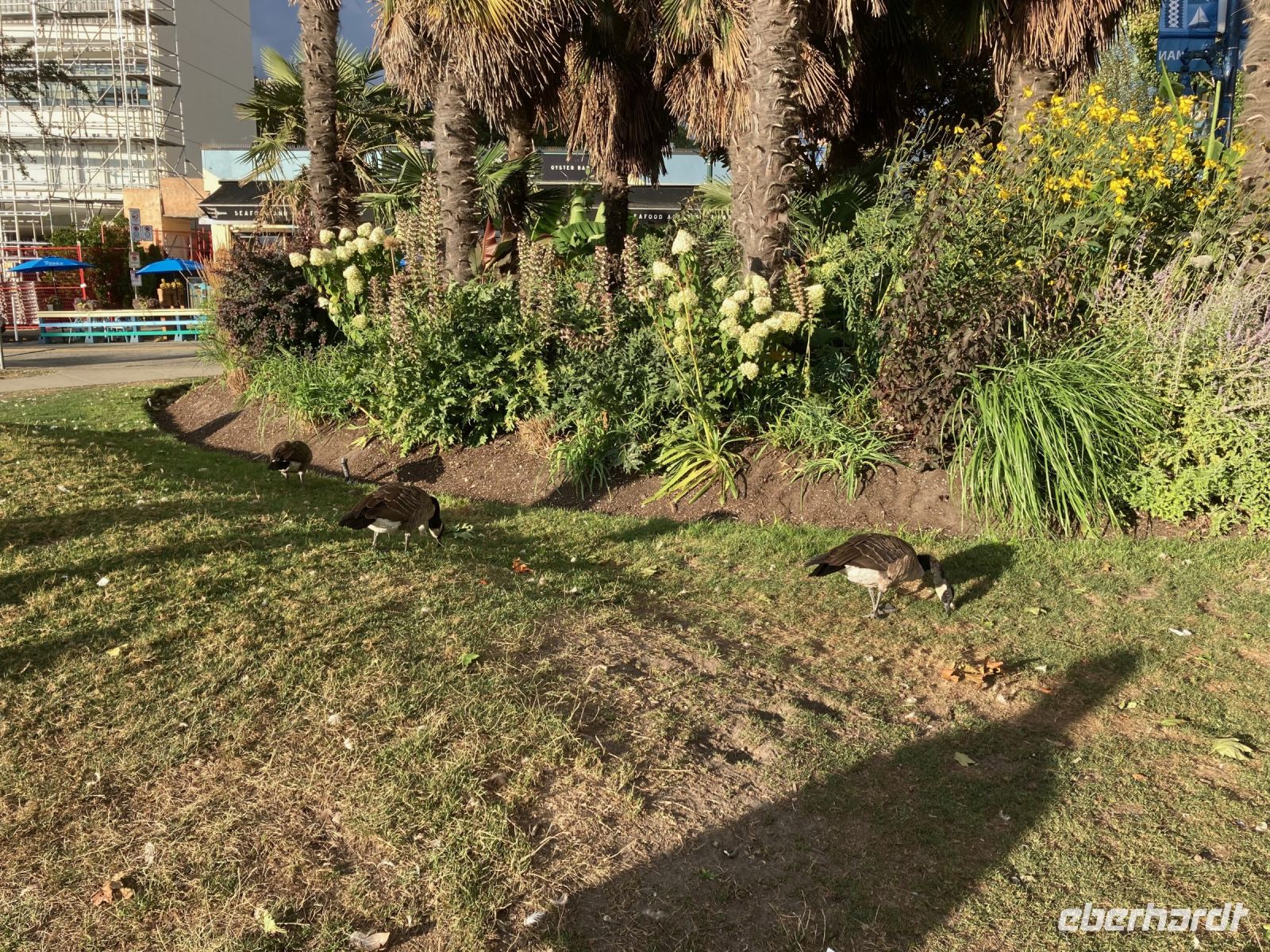 12. Tag – Abendspaziergang an der English Bay