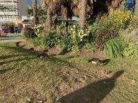 12. Tag – Abendspaziergang an der English Bay