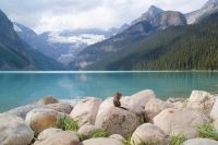 20 Squirrel am Lake Louise