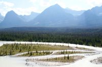 44 Panoramafahrt Icefields Parkway