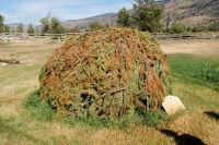 90 Sauna der Shuswap