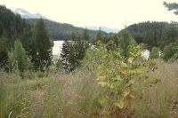 97 Blick auf Tyaughton Lake