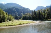 151 Bärenbeobachtungstour