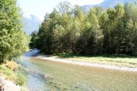 152 Bärenbeobachtungstour