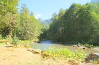 164 Bärenbeobachtungstour