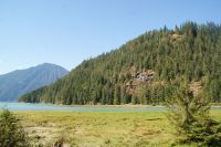 165 Bärenbeobachtungstour