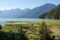 166 Bärenbeobachtungstour