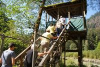 167 Hochstand Bärenbeobachtungstour