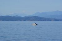 173 Bucht mit Buckelwalen