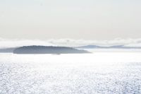 195 Fährüberfahrt nach Vancouver