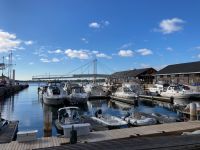 2. Reisetag – Stadtrundfahrt Toronto – Harbourfront