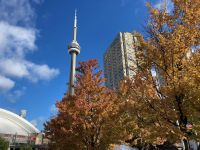 2. Reisetag – Stadtrundfahrt Toronto – Blick zum CN Tower