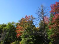 Indian Summer Kanada 