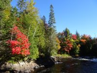 Indian Summer Kanada 
