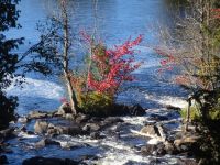 Indian Summer Kanada 