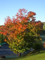 Indian Summer Kanada 