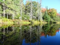 Indian Summer Kanada 