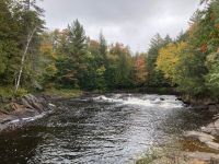 4. Reisetag – Kanutour auf dem Oxtongue Lake