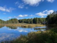 5. Reisetag – Algonquin Park – Freiluftmuseum „Algonquin Logging Trail“