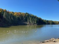 6. Reisetag – Parc Omega