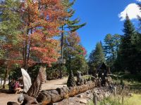 6. Reisetag – Parc Omega