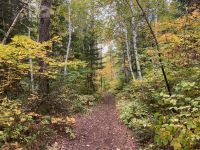 8. Reisetag – Waldspaziergang am Lac Taureau