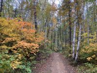 8. Reisetag – Waldspaziergang am Lac Taureau