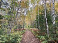 8. Reisetag – Waldspaziergang am Lac Taureau