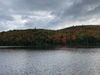 10. Reisetag – Laubfärbung auf der Fahrt nach Tadoussac
