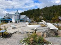 10. Reisetag – Marine Mammal Interpretation Centre in Tadoussac