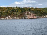 10. Reisetag – Walbeobachtung auf dem Sankt-Lorenz-Strom ab Tadoussac – Zwergwal
