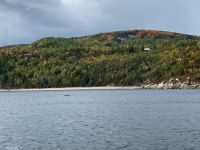 10. Reisetag – Walbeobachtung auf dem Sankt-Lorenz-Strom ab Tadoussac – Zwergwal