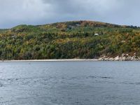 10. Reisetag – Walbeobachtung auf dem Sankt-Lorenz-Strom ab Tadoussac – Zwergwal