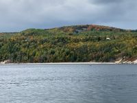 10. Reisetag – Walbeobachtung auf dem Sankt-Lorenz-Strom ab Tadoussac – Zwergwal