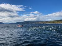 10. Reisetag – Walbeobachtung auf dem Sankt-Lorenz-Strom ab Tadoussac