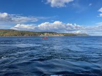 10. Reisetag – Walbeobachtung auf dem Sankt-Lorenz-Strom ab Tadoussac