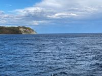 10. Reisetag – Walbeobachtung auf dem Sankt-Lorenz-Strom ab Tadoussac