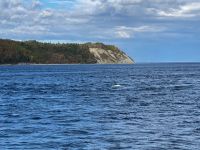 10. Reisetag – Walbeobachtung auf dem Sankt-Lorenz-Strom ab Tadoussac – Beluga