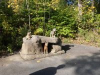 11. Reisetag – Spaziergang durch den Canyon Sainte-Anne