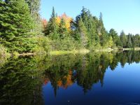 Kanutour Algonquin Provinzial Park 