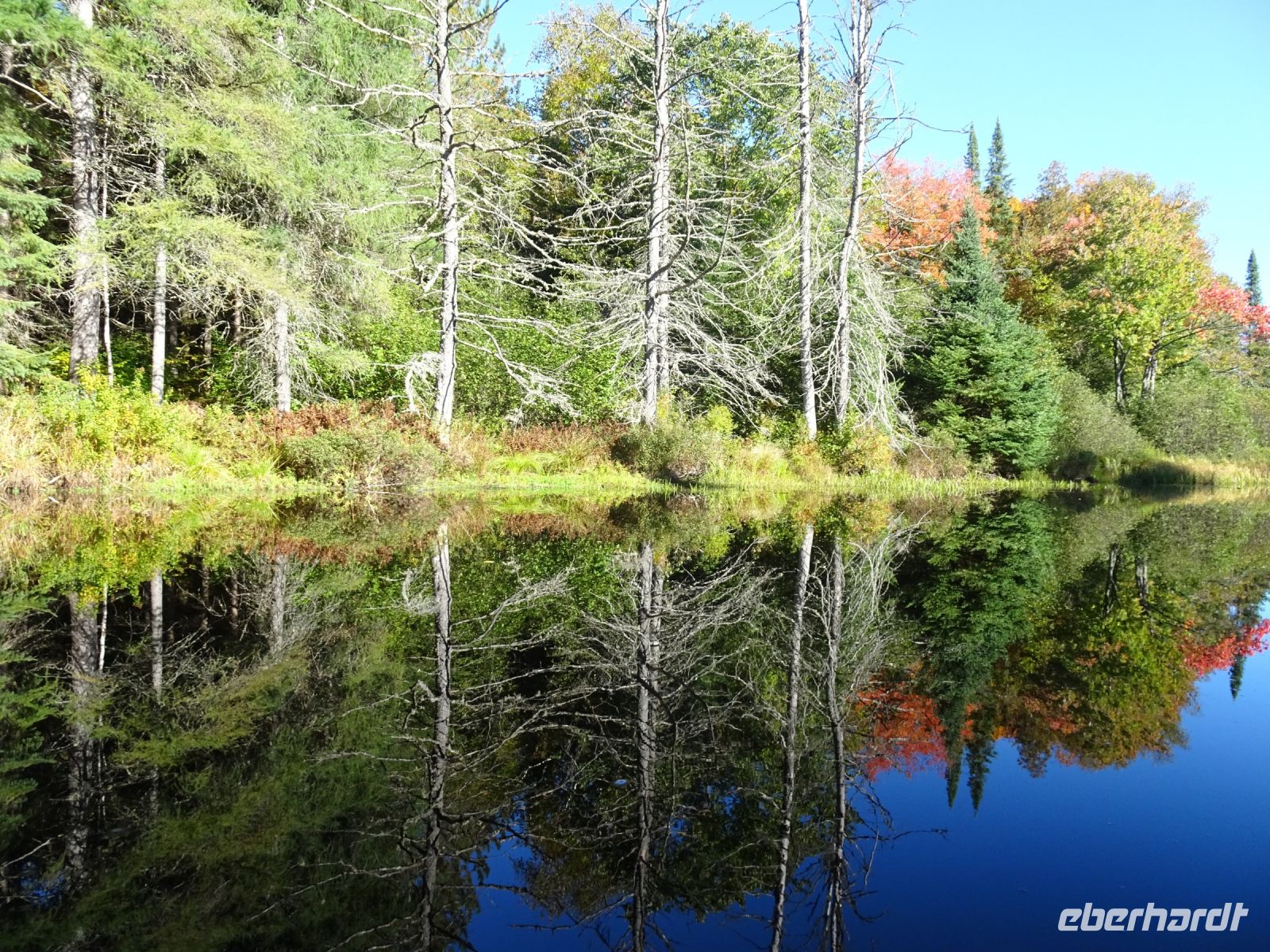 Kanutour Algonquin Provinzial Park 